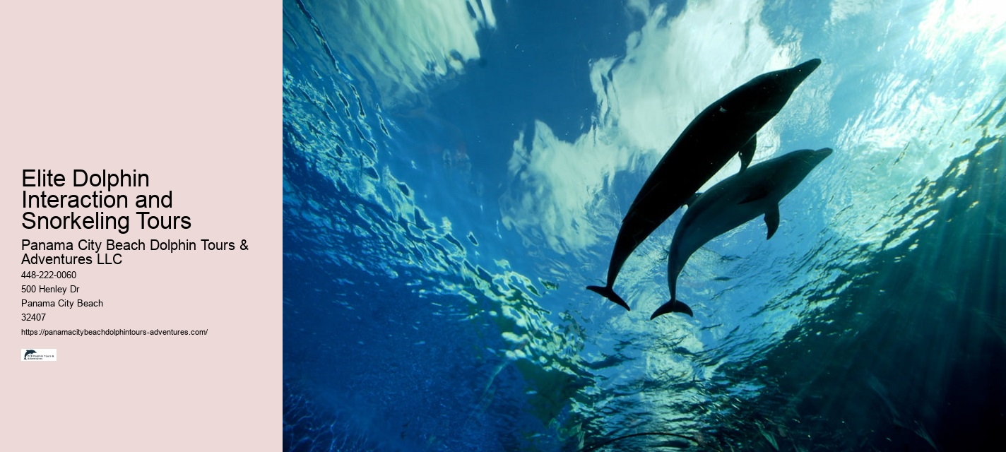 Do Dolphins Swim With Humans