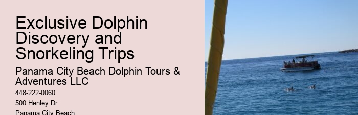 What should I bring with me on a dolphin tour in Panama City Beach