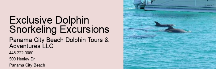 Split Exclusive Dolphin And Snorkeling Experiences