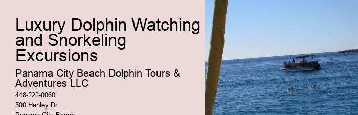 Are Dolphin Tours Humane