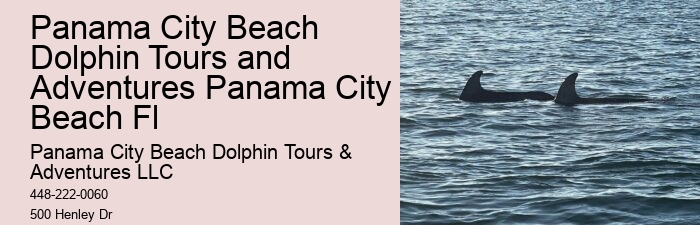Are Dolphins Actually Happy In Captivity