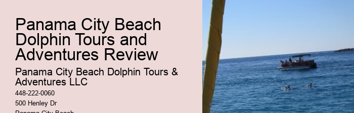 Small Group 2 Hour Dolphin Cruise With Snorkeling To