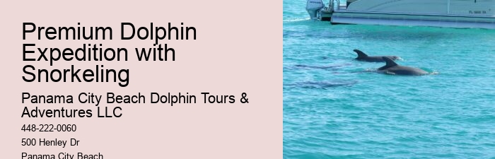 Dolphin exploration experiences in Panama City Beach
