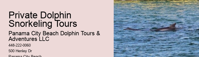 What Do You Wear On A Dolphin Boat Trip