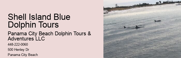 Snorkeling And Dolphin Charters In Split