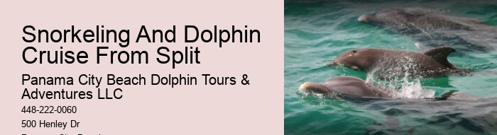 Are there evening sunset dolphin tours available in Panama City Beach