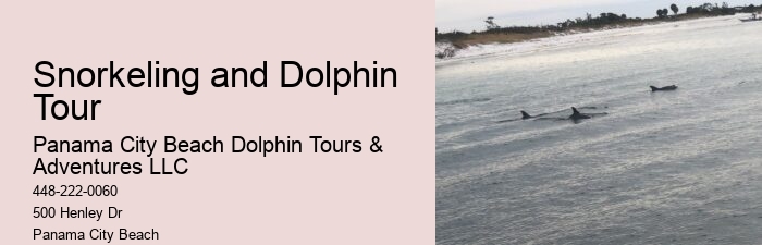 Rudee Flipper Dolphin Tours Virginia Beach