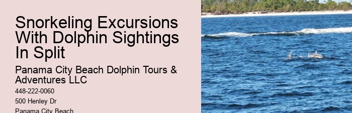 Split Thrilling Dolphin And Snorkeling Charters