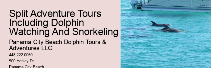 Water Planet Dolphin Swim Tours Panama City Beach Fl
