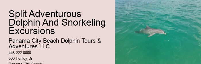 Split Luxury Snorkeling And Dolphin Charters