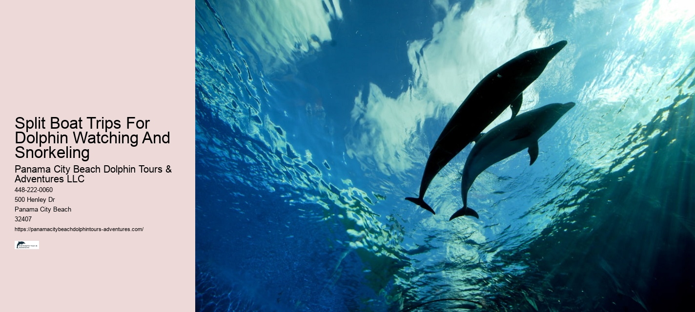 Snorkeling And Dolphin Cruise From Split