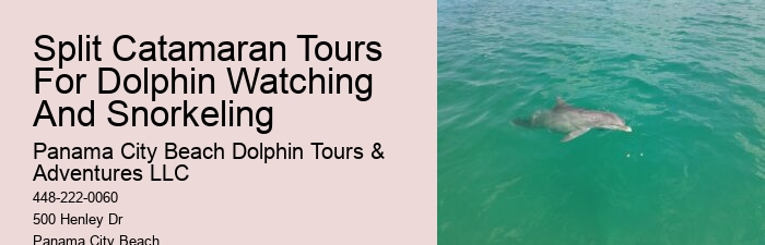 Are there any age restrictions for dolphin tours in Panama City Beach