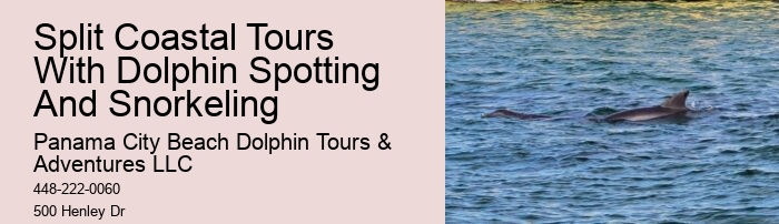 Split Adventure Tours Including Dolphin Watching And Snorkeling