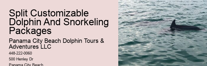 Best Dolphin Tours In Panama City Beach