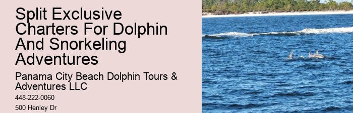 Are there any age restrictions for children on the dolphin tour