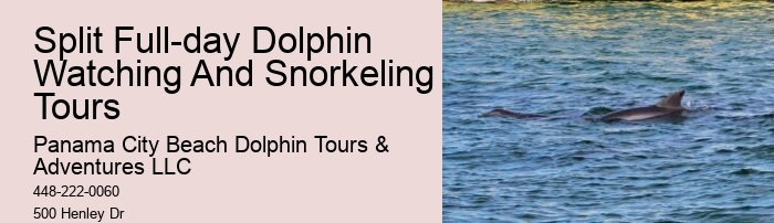 Is swimming with dolphins an additional cost on the tour