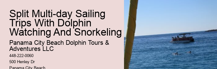 Panama City Beach Boat Tours To Shell Island
