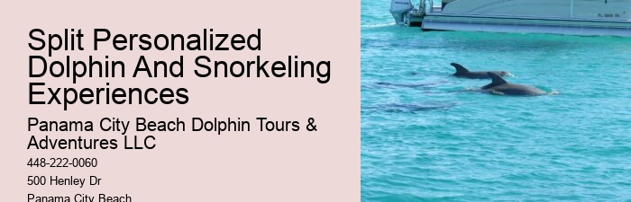 Are Panama City Beach dolphin tours wheelchair accessible