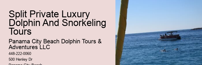 PCB Dolphin Exploration Experiences