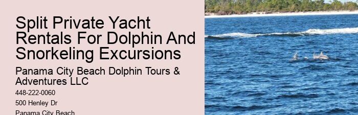 Split Personalized Dolphin And Snorkeling Experiences