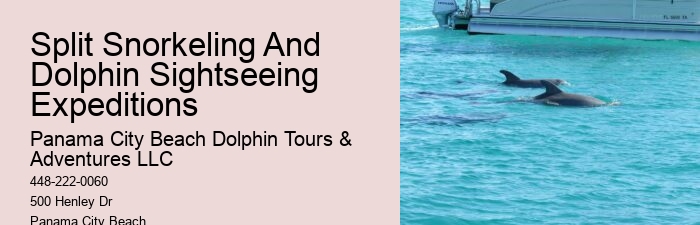 Dolphin sightseeing tours at Panama City Beach