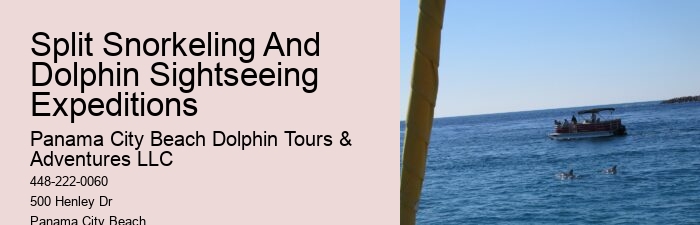 Dolphin Tours Panama City