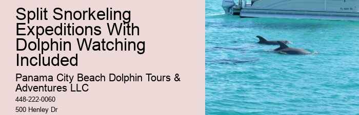 Catamaran Dolphin Tour Panama City Beach