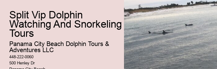 Panama City Beach Jet Ski Dolphin Tours