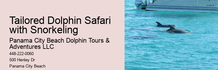 Split Adrenaline-pumping Dolphin And Snorkeling Adventures