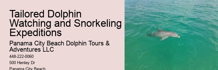 A Dolphin Swimming
