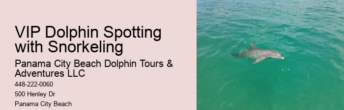 Dolphin Cruise 30a