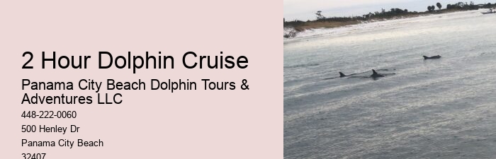 Can I bring my own food and drinks on the dolphin tour