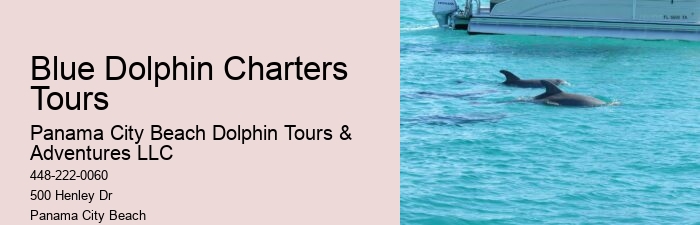 Orange Beach Jet Ski Dolphin Tours