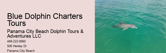 Panama City Dolphin Seafari Tours