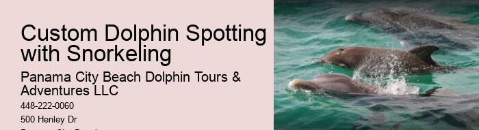 Panama City Beach Dolphin Tours and Adventures