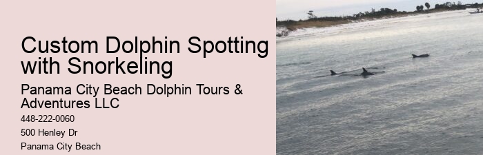 Why Is It Illegal To Interact With Dolphins
