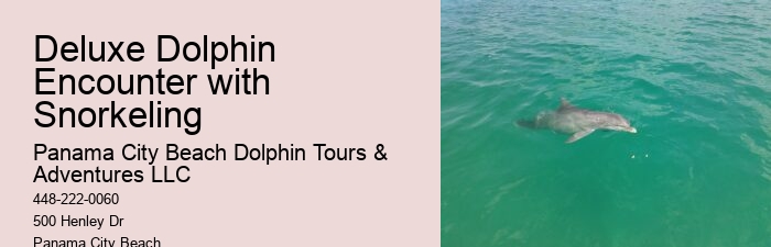 Dolphin Tours In Panama City Beach