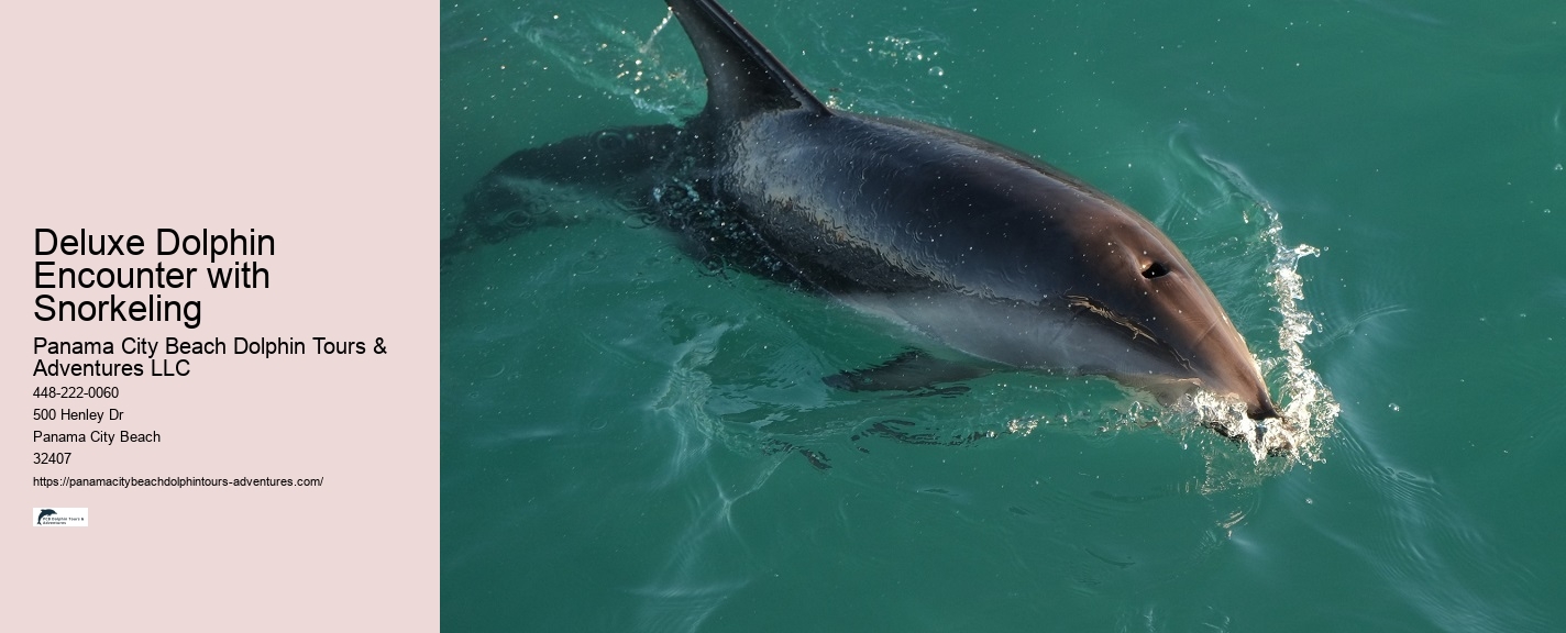 Will Dolphins Let You Touch Them