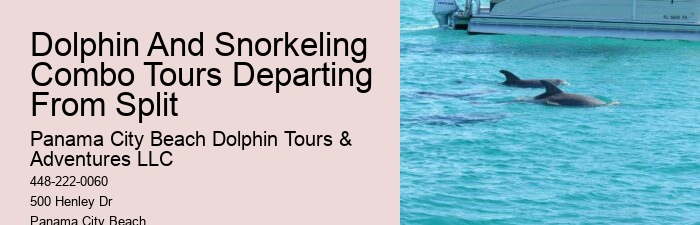 Why Do Dolphins Swim Around You