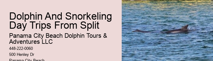 Blue Dolphin Tours Panama City Beach