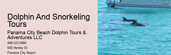 Split Marine Biology-focused Dolphin And Snorkeling Tours