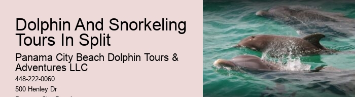 All-inclusive Experiences - Swim With Dolphins