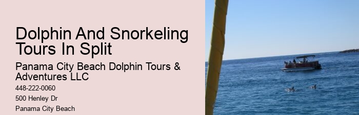 Are Panama City Beach dolphin tours wheelchair accessible