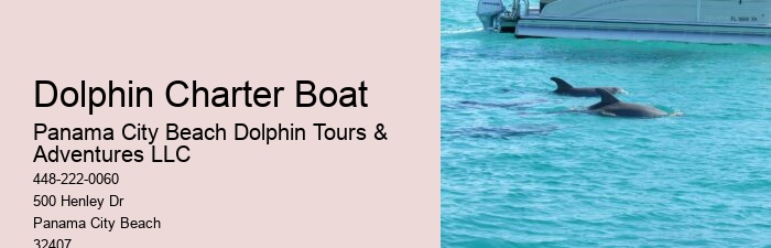 Split Thrilling Speedboat Dolphin And Snorkeling Tours