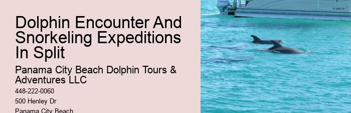 Panama City Beach Dolphin Adventure Cruises
