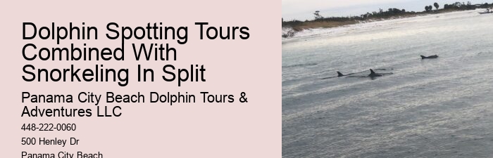 How Deep Is The Water When You Swim With Dolphins