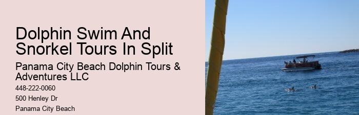 Private Dolphin Tours Panama City Beach