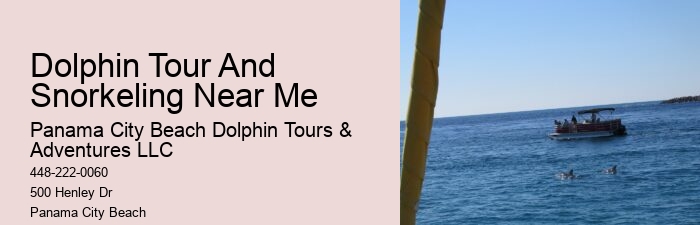 Dolphin encounters in Panama City Beach