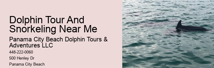 How much does a dolphin tour in Panama City Beach cost