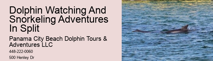 Are Panama City Beach dolphin tours environmentally friendly